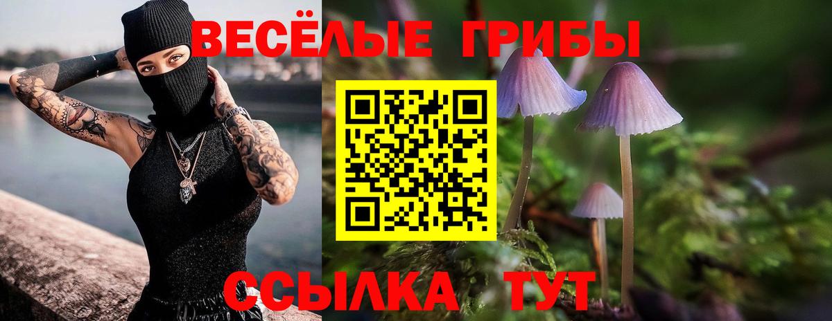 Ртищево  Псилоцибиновые грибы Psilocybe  наркота  Вход с VPN  Галлюциногенные грибы Psilocybe 